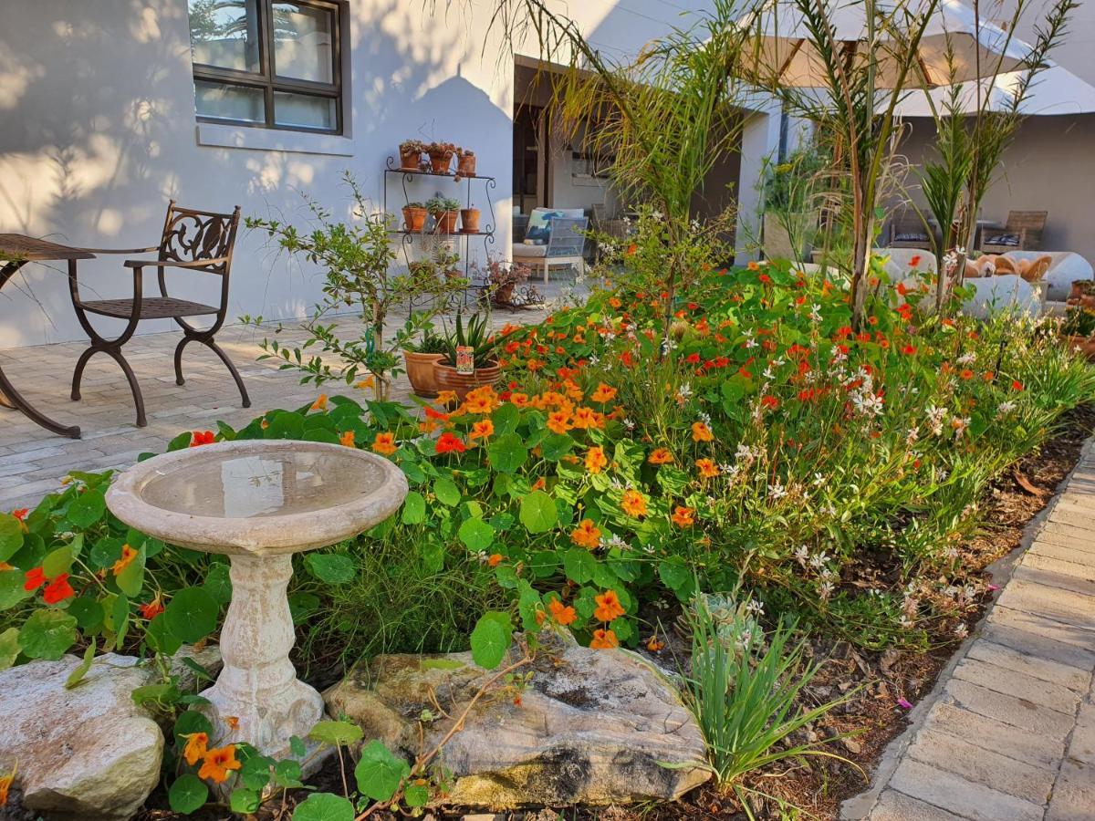 Albatross Guesthouse Лангебан Экстерьер фото